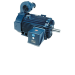 Blue Max Inverter Duty Motor