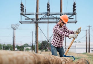 Image showing Moving Poles with Cant Hooks 