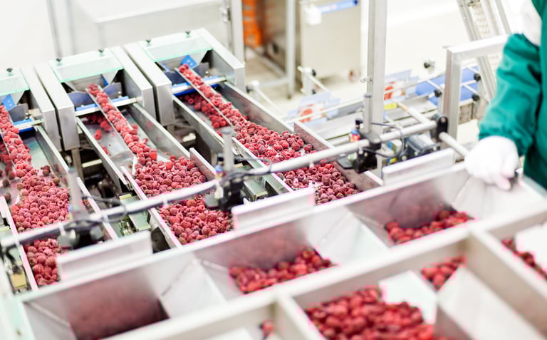 Image showing a food production line of red potatoes