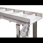 Stainless Sanitary Conveyors Teaser