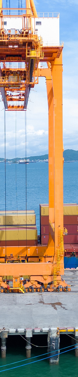 form image Marine.jpg