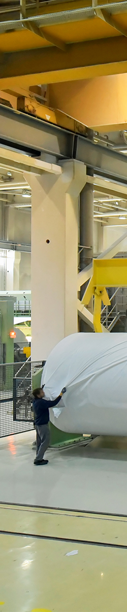 form Image Paper.jpg