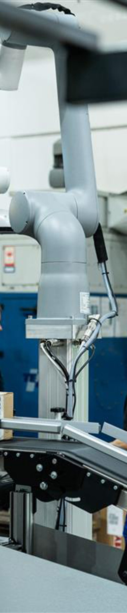 form image Phoenix.jpg